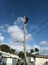 Affordable Tree Service, Inc. photo 4