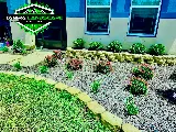 Tampa landscape solutions photo 6