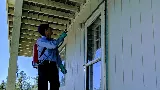 Defense Pest Control photo 5