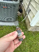 PlumbPro Plumbing, Heating & Cooling photo 5
