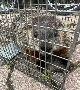 Bug Managers Pest Control photo 7