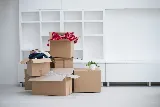 Cruise Movers photo 3