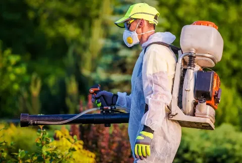 Ratchet Roach Pest Control in Jacksonville