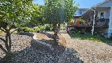 Sam's Tree & Landscape, LLC photo 5