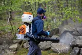Big Blue Bug Solutions