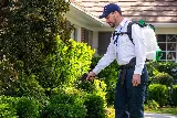 Clark Pest Control photo 2