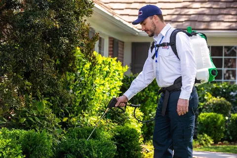 Clark Pest Control photo 1
