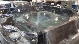 International Pool & Spa Centers