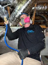 Wise Pest Control photo 5