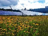 Catamount Solar photo 3