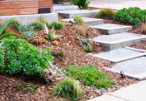 Roo Landscaping & Garden Care in Sacramento