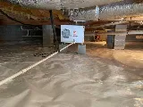 Summit Pest Solutions photo 2