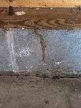 Precision Pest Management photo 2