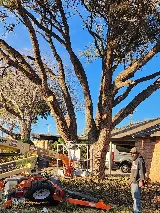 Bigger Things Landscaping photo 4