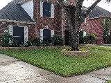 Nature Springs Landscaping photo 4