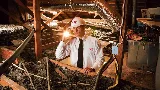 Orkin Canada Pest Control photo 2