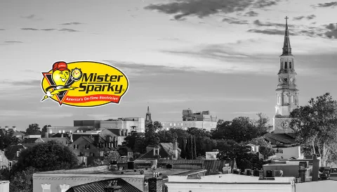 Mister Sparky of Charleston in Charleston