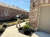 EvoFoam Pest Control photo 2