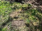 Mow-It-Alls, LLC photo 4
