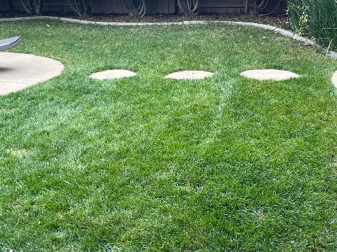 Pest Control Center Inc. in Sacramento