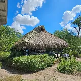 “Carrizales” Landscaping LLC. (RGV) photo 2