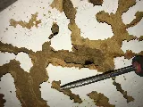 El Valle Pest Control photo 4
