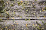 Chula Vista Landscaping & Synthetic Turf photo 6