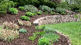 Black Belt Landscaping