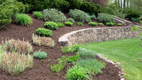 Black Belt Landscaping photo 1