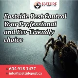 Eastside Pest Control Vancouver photo 9