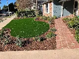 Droughtscape LA photo 7