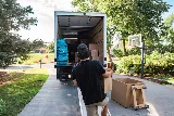 Minne Movers photo 6