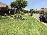 Elite Grounds Lawn & Landscaping photo 2