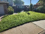 Julio Tree Care & Landscaping photo 5