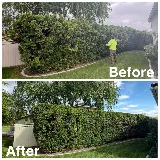 Abel’s and Sons Lawn Services llc photo 4