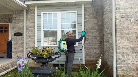 Rapid Response Pest Solutions photo 1