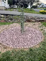 JP's Landscaping photo 3