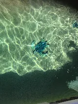 Conrad's Pool & Spa Inc photo 6