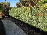 Epic Landscaping / Nursery photo 5