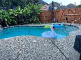 West Pool Service photo 2