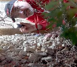 Adam's Pest Control