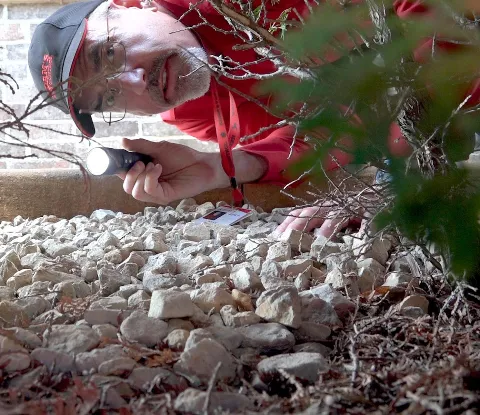Adam's Pest Control photo 1