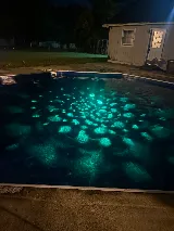 Affordable Pools photo 7