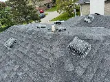 Pest Stop Inc. Pest Control Services photo 3