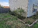 Affordable Cuts photo 8