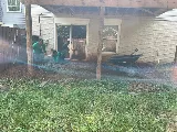 Chavez landscaping LLC photo 8