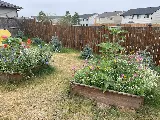 LCL Landscaping Ltd photo 8