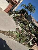 All Professional Landscape photo 6