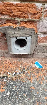 Pestend Pest Control London photo 7