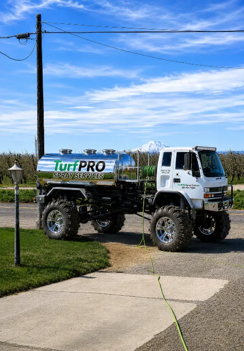 Quality SPRAY Services photo 1